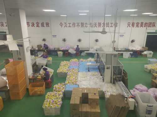 探訪福建泉州衛生產業 高端轉型與冒牌產品并存的困境